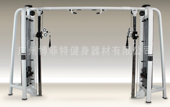 大飛鳥(niǎo)龍門(mén)架訓(xùn)練器